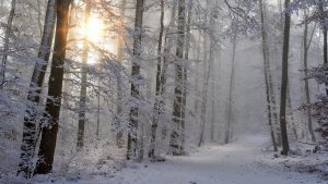 Comment bien équiper sa voiture pour l’hiver ?